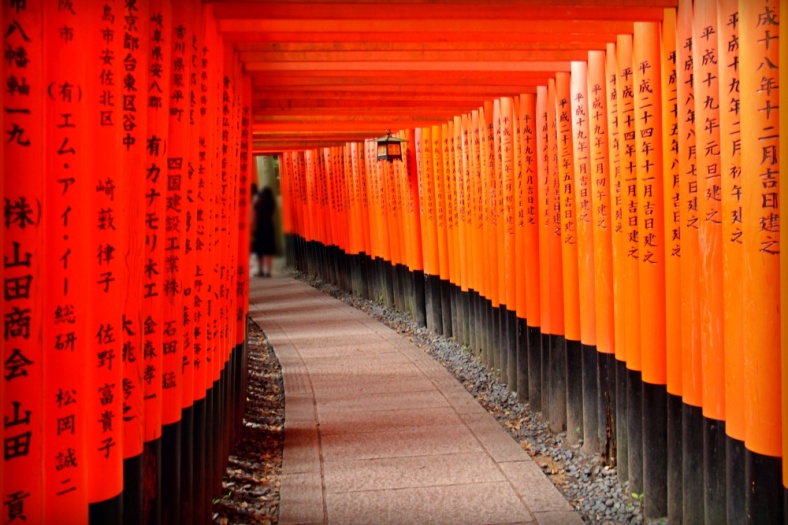 The Torii of Fushimi Inari, Kyoto